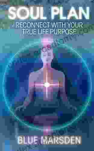 Soul Plan: Reconnect With Your True Life Purpose