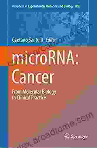 MicroRNA: Cancer: From Molecular Biology To Clinical Practice (Advances In Experimental Medicine And Biology 889)